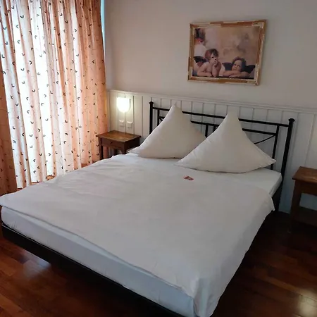 Hotel Goldener Stern-3